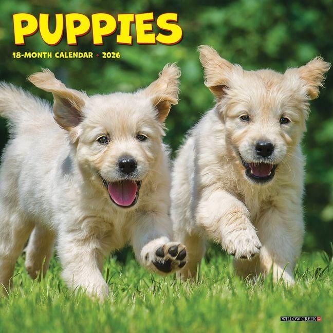 Produktbild: Puppies Mini Wall Calendar