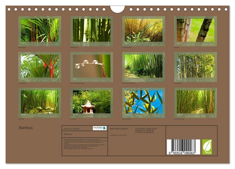 Produktbild: Bambus (Wandkalender 2026 DIN A4 quer), CALVENDO Monatskalender