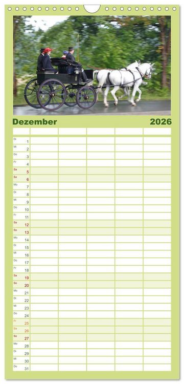 Produktbild: Familienplaner 2026 - CIAT - Historischer Fahrsport in Celle mit 5 Spalten (Wandkalender, 21 x 45 cm) CALVENDO