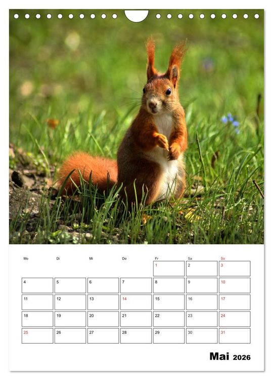 Produktbild: Heimische Wildtiere Terminplaner (Wandkalender 2026 DIN A4 hoch), CALVENDO Monatskalender