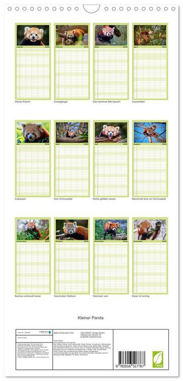 Produktbild: Familienplaner 2026 - Kleiner Panda mit 5 Spalten (Wandkalender, 21 x 45 cm) CALVENDO
