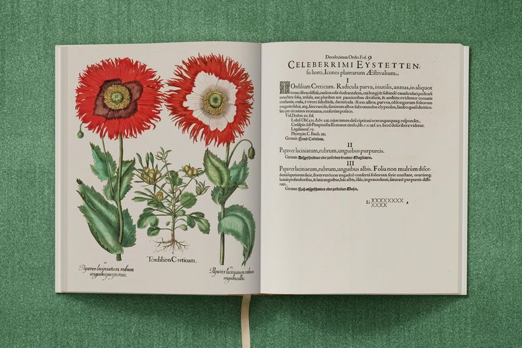 Produktbild: Basilius Besler. The Garden at Eichst&auml;tt