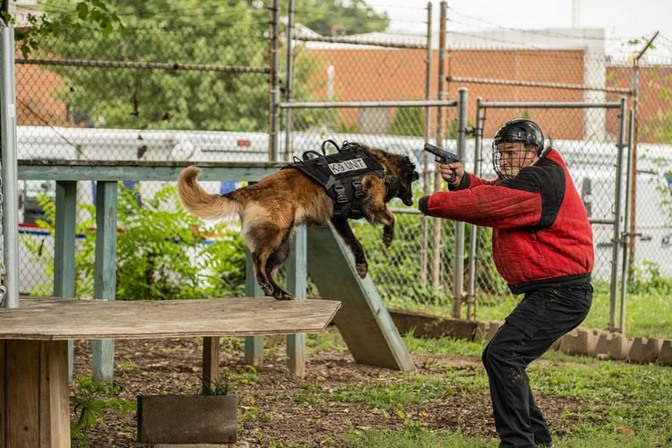 Produktbild: Muzzle - K-9 Narcotics Unit