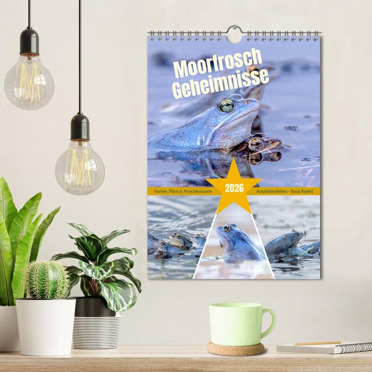 Produktbild: Moorfrosch Geheimnisse &ndash; Farben, Flirts & Froschkonzerte - Tanja Riedel (Wandkalender 2026 DIN A4 hoch), CALVENDO Monatskalender