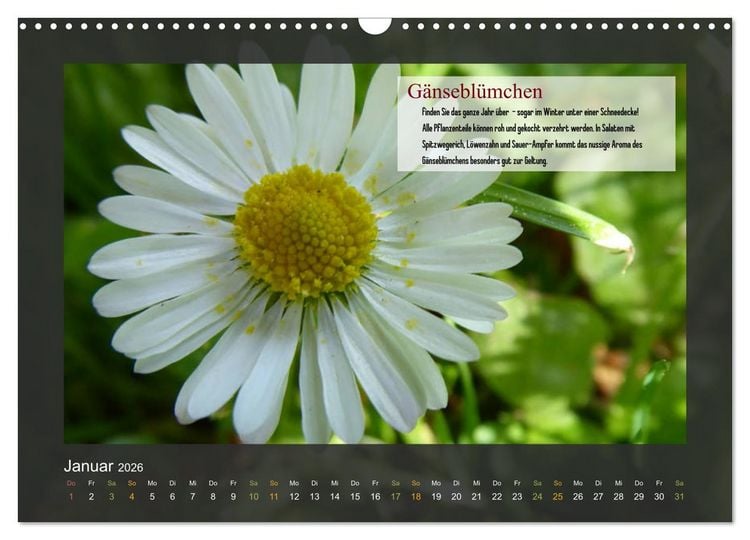 Produktbild: Outdoor-Survival-Kalender (Wandkalender 2026 DIN A3 quer), CALVENDO Monatskalender