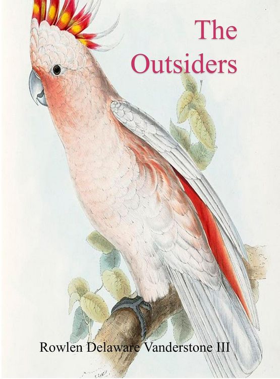 Produktbild: The Outsiders