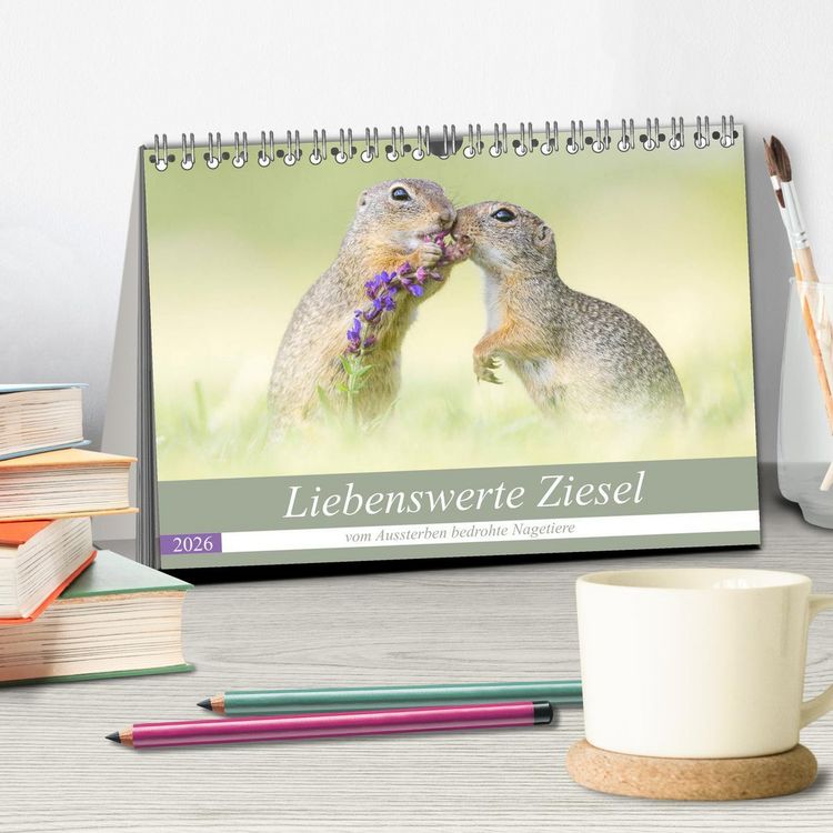 Produktbild: Liebenswerte Ziesel - vom Aussterben bedrohte Nagetiere (Tischkalender 2026 DIN A5 quer), CALVENDO Monatskalender