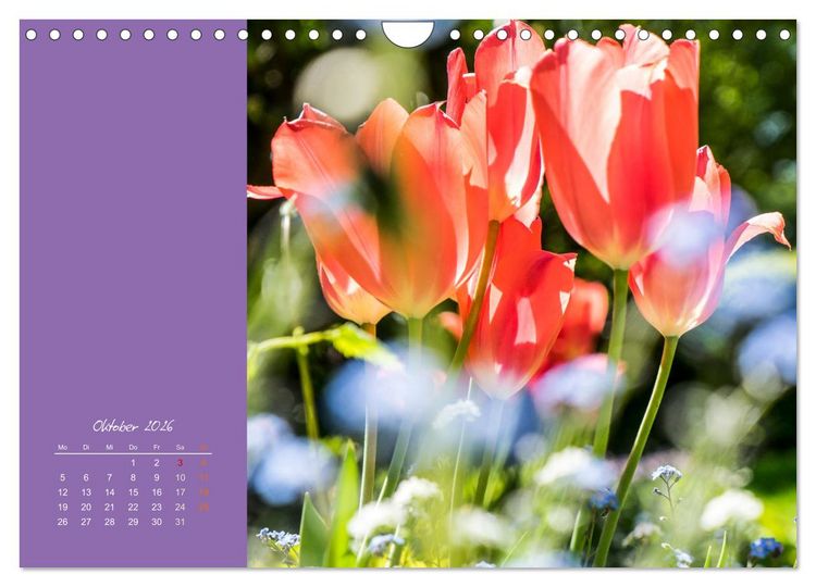 Produktbild: Bl&uuml;tenstil (Wandkalender 2026 DIN A4 quer), CALVENDO Monatskalender