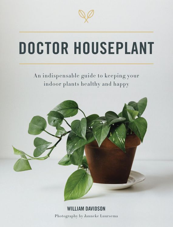 Produktbild: Doctor Houseplant