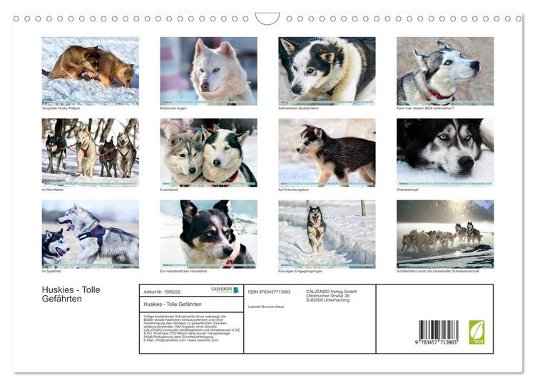 Produktbild: Huskies - Tolle Gef&auml;hrten (Wandkalender 2026 DIN A3 quer), CALVENDO Monatskalender