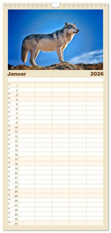 Produktbild: Familienplaner 2026 - W&ouml;lfe - sie sind wieder da mit 5 Spalten (Wandkalender, 21 x 45 cm) CALVENDO