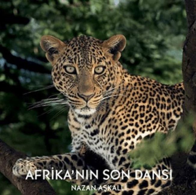 Produktbild: Afrikanin Son Dansi Ciltli