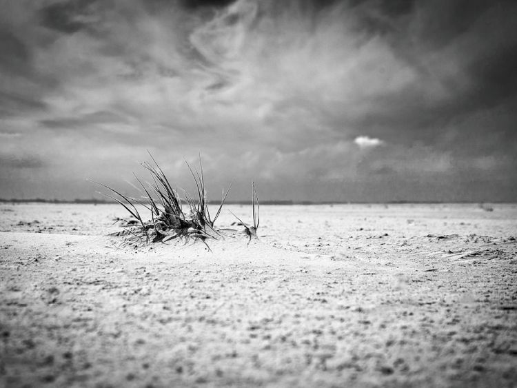 Produktbild: CALVENDO Puzzle Strandgeselle | 1000 Teile Lege-Gr&ouml;&szlig;e 64x48cm Foto-Puzzle f&uuml;r gl&uuml;ckliche Stunden