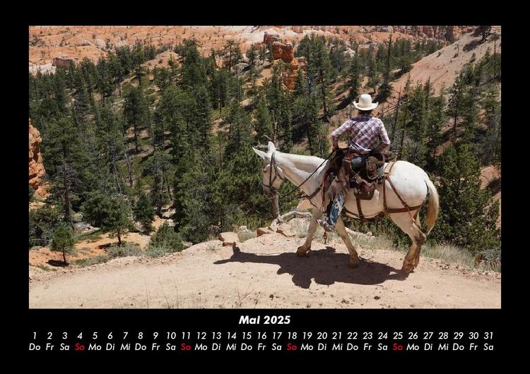 Produktbild: Die Welt der Pferde 2025 Fotokalender DIN A3