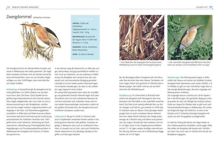 Produktbild: Das BLV Handbuch V&ouml;gel