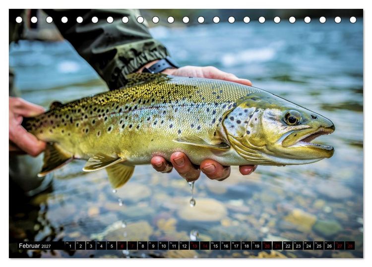 Produktbild: Forellen im Fluss (Tischkalender 2027 DIN A5 quer), CALVENDO Monatskalender