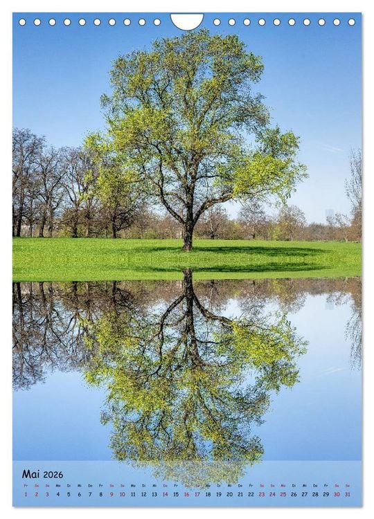 Produktbild: Spiegelb&auml;ume (Wandkalender 2026 DIN A4 hoch), CALVENDO Monatskalender