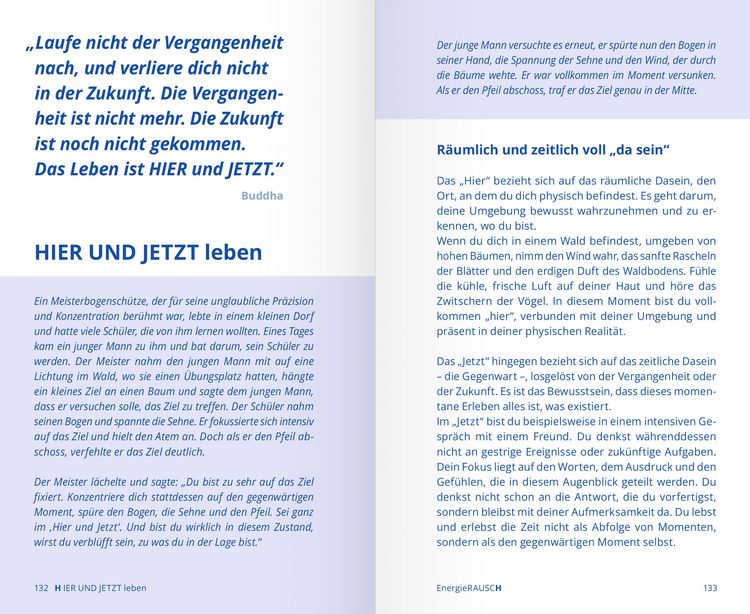 Produktbild: EnergieRAUSCH &ndash; Schluss mit Antriebslosigkeit, Stress und Sorgen