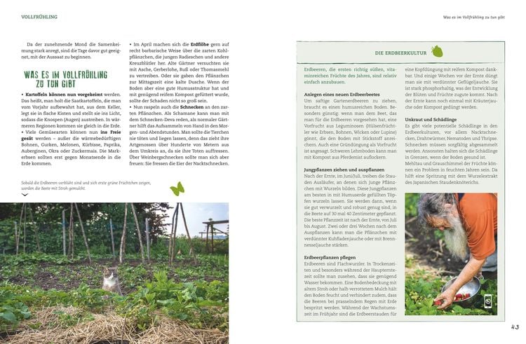 Der Selbstversorger: Mein Gartenjahr
