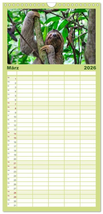 Produktbild: Familienplaner 2026 - Abh&auml;ngen - Faultier mit 5 Spalten (Wandkalender, 21 x 45 cm) CALVENDO
