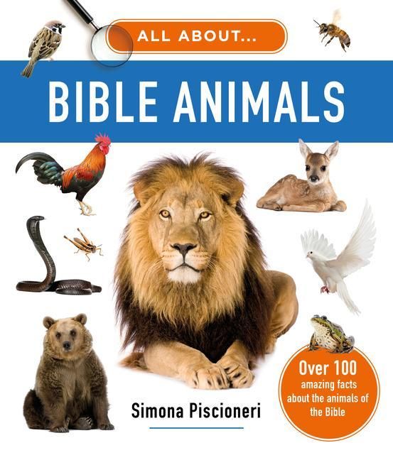 Produktbild: All about Bible Animals