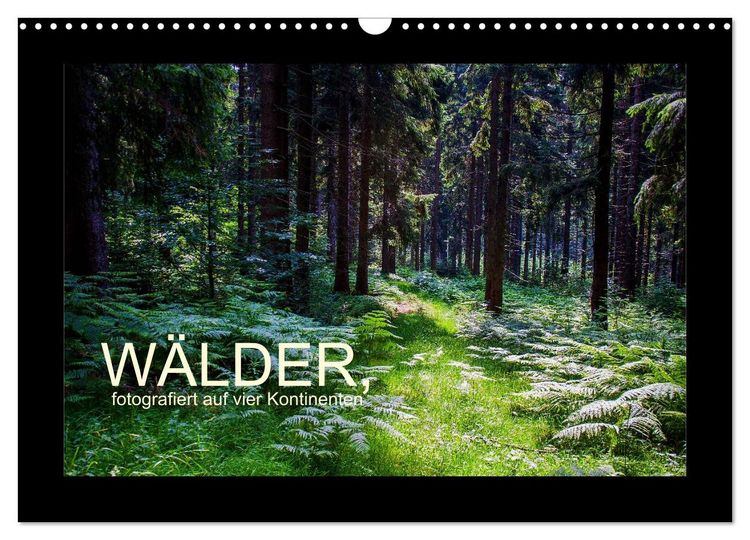 Produktbild: W&auml;lder, fotografiert auf vier Kontinenten (Wandkalender 2026 DIN A3 quer), CALVENDO Monatskalender