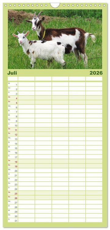 Produktbild: Familienplaner 2026 - Wer zickt denn da? Mit Ziegen durchs Jahr mit 5 Spalten (Wandkalender, 21 x 45 cm) CALVENDO
