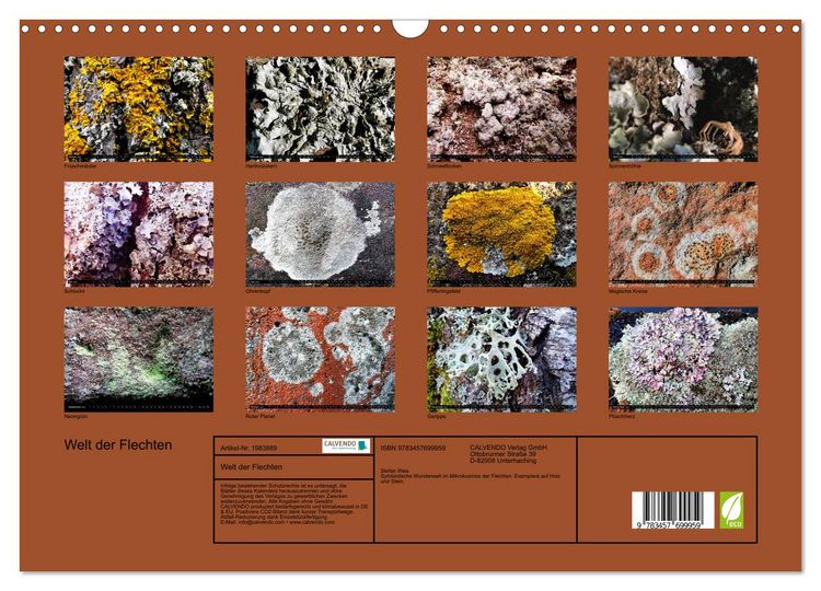 Produktbild: Welt der Flechten (Wandkalender 2026 DIN A3 quer), CALVENDO Monatskalender