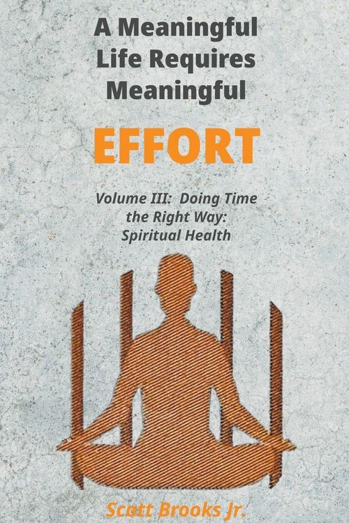 Produktbild: A Meaningful Life Requires Meaningful Effort