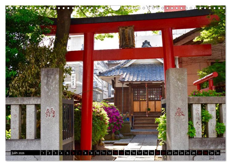 Produktbild: Les couleurs de Tokyo (Calendrier mural 2026 DIN A3 vertical), CALVENDO calendrier mensuel