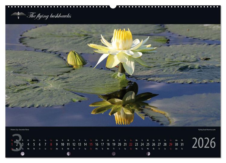 Produktbild: Botswana Blickwinkel 2026 (Wandkalender 2026 DIN A2 quer), CALVENDO Monatskalender