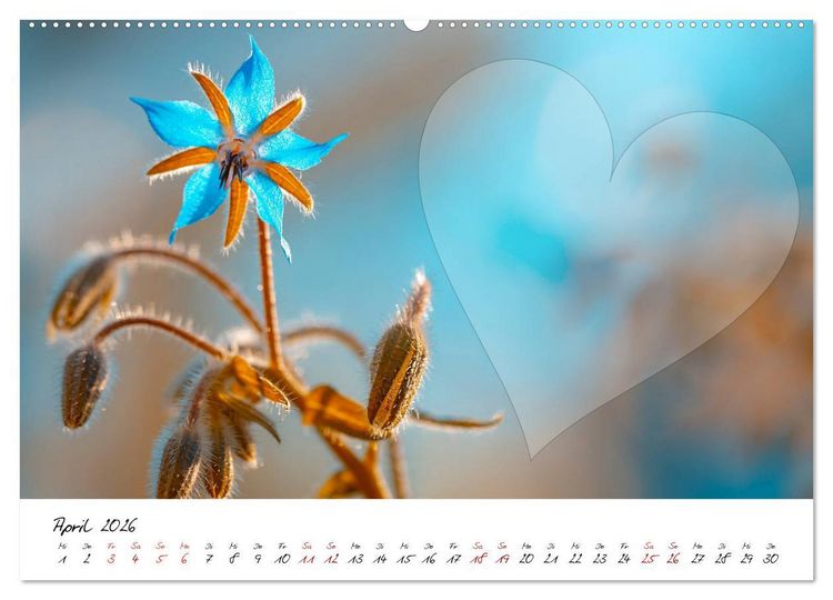 Produktbild: Blauer Bl&uuml;tentraum - Bastelkalender (Wandkalender 2026 DIN A2 quer), CALVENDO Monatskalender