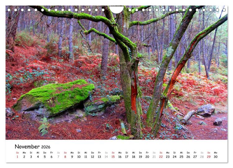 Produktbild: Jakobsweg - Camino Portugues Central (Wandkalender 2026 DIN A4 quer), CALVENDO Monatskalender