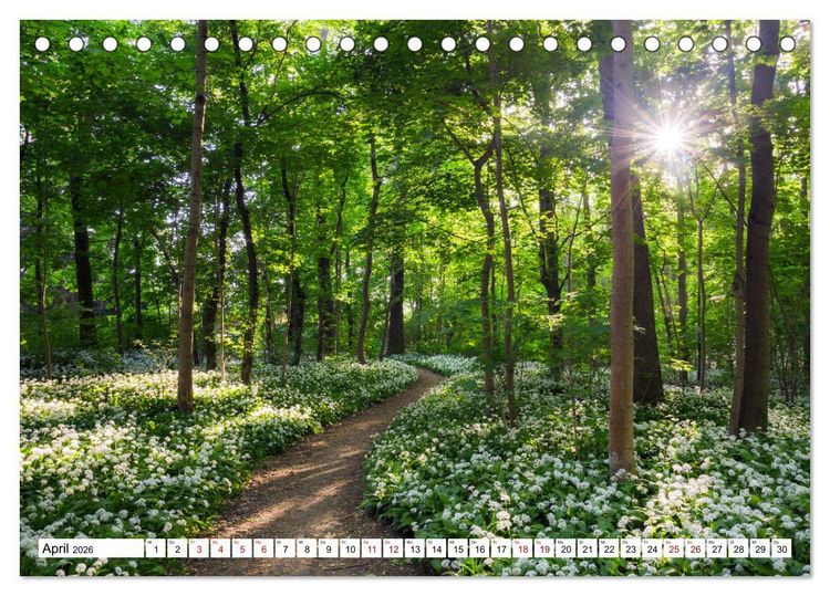 Produktbild: Sonnige Augenblicke (Tischkalender 2026 DIN A5 quer), CALVENDO Monatskalender