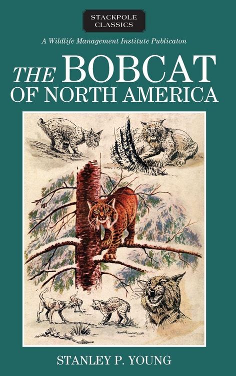 Produktbild: Bobcat of North America
