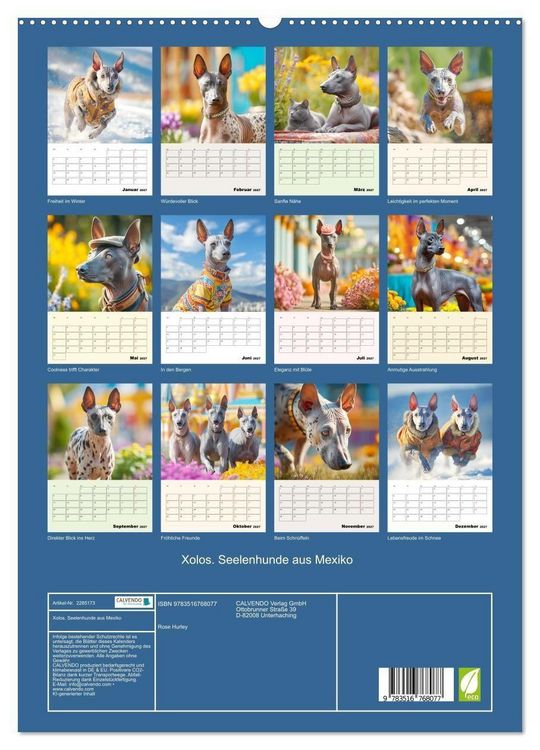 Produktbild: Xolos. Seelenhunde aus Mexiko (hochwertiger Premium Wandkalender 2027 DIN A2 hoch), Kunstdruck in Hochglanz