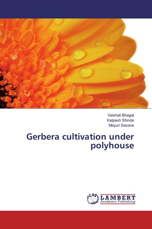 Produktbild: Gerbera cultivation under polyhouse