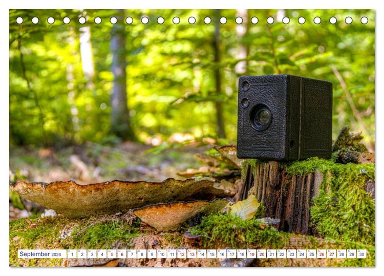 Produktbild: Alte Fotoapparate, Augenzeugen der Zeit (Tischkalender 2026 DIN A5 quer), CALVENDO Monatskalender