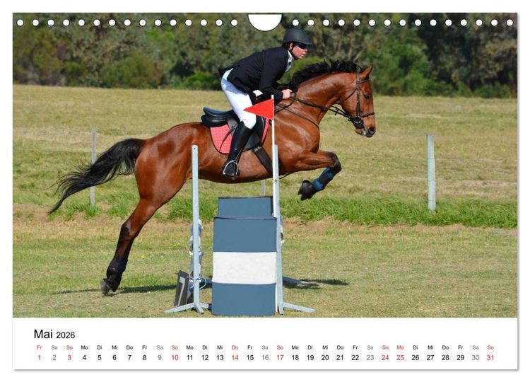 Produktbild: Vielseitigkeitsreiten (Wandkalender 2026 DIN A4 quer), CALVENDO Monatskalender