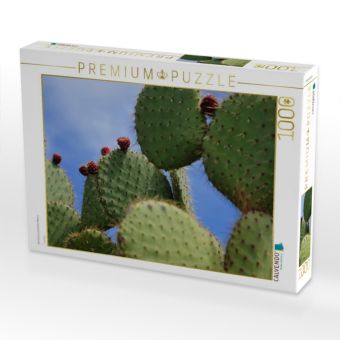 Produktbild: CALVENDO Puzzle Opuntia Leucotricha, Mexico | 1000 Teile Lege-Gr&ouml;&szlig;e 64x48cm Foto-Puzzle f&uuml;r gl&uuml;ckliche Stunden