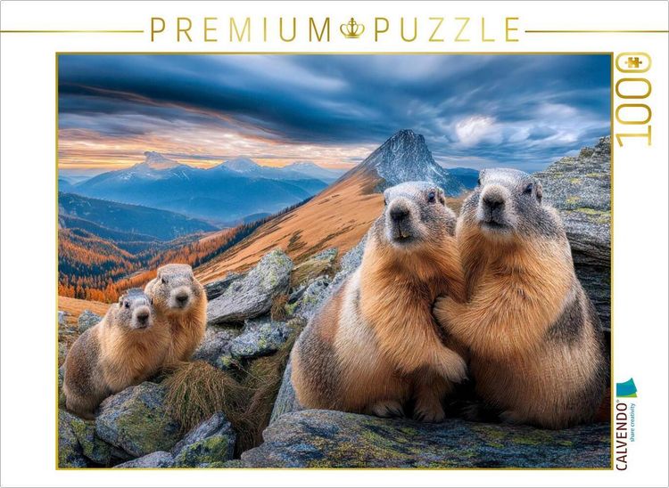 Produktbild: CALVENDO Puzzle Hallo, wir sind&acute;s - die Murmeltierfamilie | 1000 Teile Lege-Gr&ouml;&szlig;e 64x48cm Foto-Puzzle f&uuml;r gl&uuml;ckliche Stunden