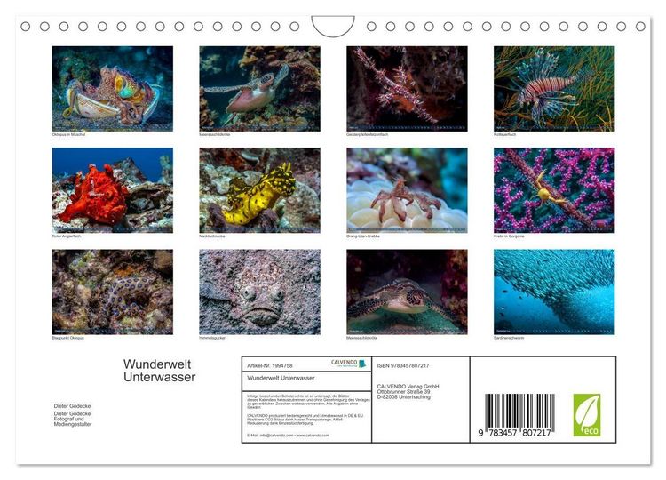 Produktbild: Wunderwelt Unterwasser (Wandkalender 2026 DIN A4 quer), CALVENDO Monatskalender