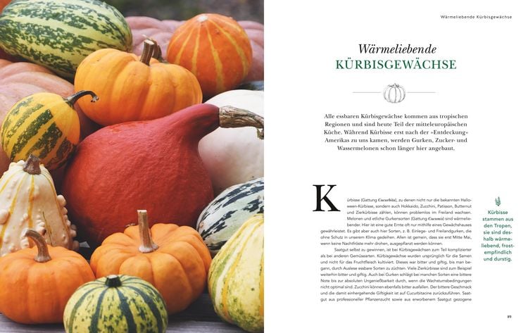 Produktbild: Das gro&szlig;e Garten-Gem&uuml;se-Buch