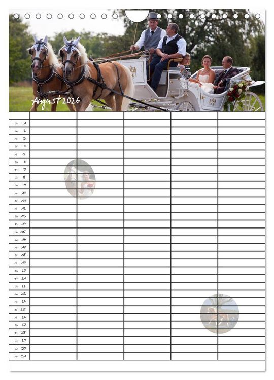 Produktbild: Haflinger Pferde - Stall- und Familienplaner 2026 (Wandkalender 2026 DIN A4 hoch), CALVENDO Monatskalender