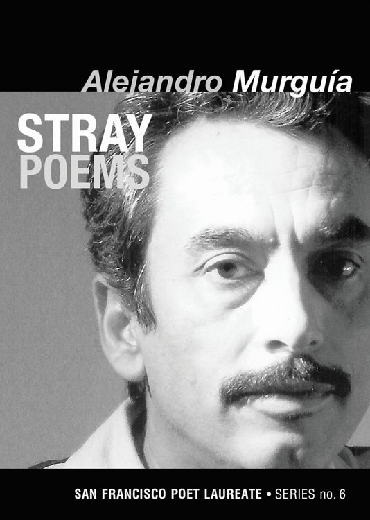 Produktbild: Stray Poems