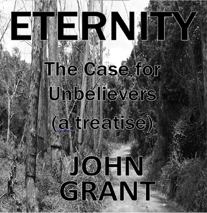 Produktbild: Eternity: The Case for Unbelievers