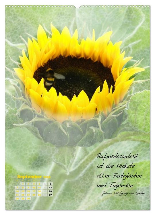 Produktbild: Blumen & Zitate (Wandkalender 2026 DIN A2 hoch), CALVENDO Monatskalender