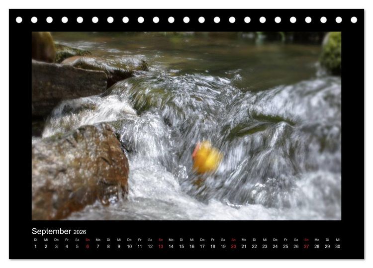 Produktbild: Enten-Rennen (Tischkalender 2026 DIN A5 quer), CALVENDO Monatskalender
