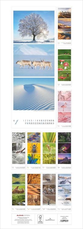 Produktbild: Colours of Nature - Triplets 2026 - Streifenkalender XXL 25x69 cm - Bildkalender im Hochformat - Naturkalender - Wandkalender - Wandplaner