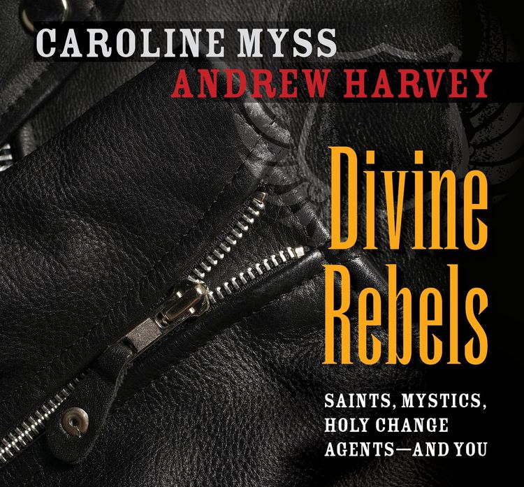 Produktbild: Divine Rebels